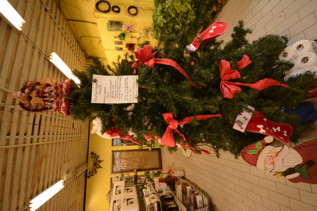 Pets Friends For Life Charity A&M Garden Centre London ON Outdoor Decor